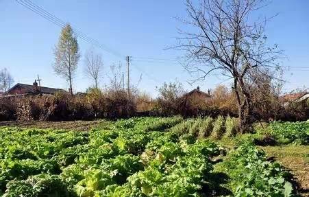 一小伙回农村自己盖了一栋别墅！造好后一算……花的钱让我看哭了！