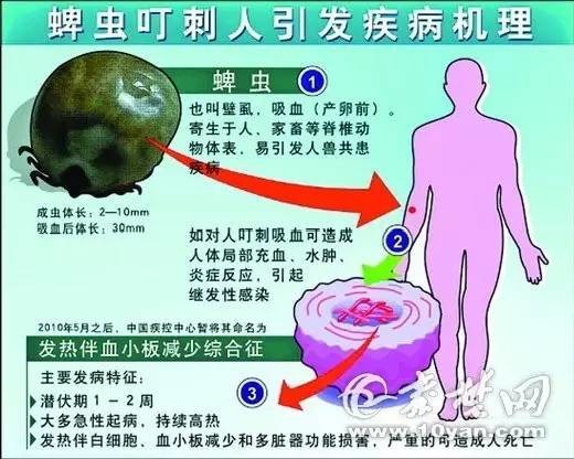 【注意】夫妻双双得了绝症黑色素瘤？护士棉棒一擦剧情反转！