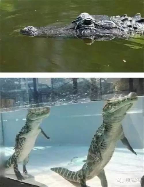 这些图片告诉你，其实我们每天都在被骗