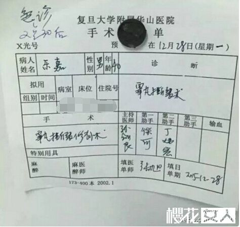 乐嘉“蛋”碎了一地 真人秀折射出三大黑暗内幕