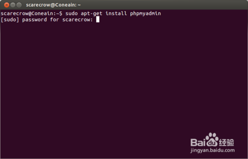 ubuntu安装phpmyadmin